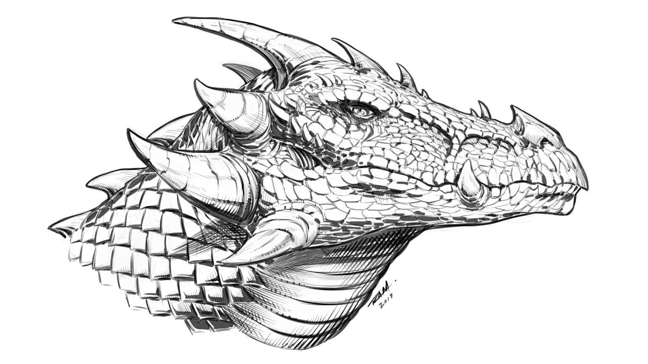 How To Draw A Dragon Head Side View Narrated Youtube