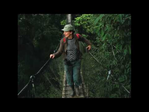 Treehouse suite in the Amazon