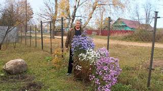 видео: Мои сигары  картинка: Мои сигары