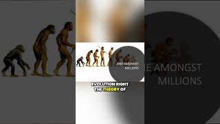 The Impact of Evolution on Human Significance