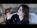 Baby squirrel becomes cute chaotic teenager episode 3