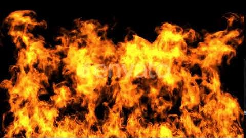 Fire | Motion Graphics - Envato elements