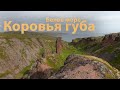 Прогулка в тумане. Губа Коровья, Белое море.