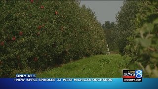 New 'apple spindles' at West Michigan orchards