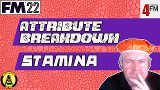 Is STAMINA more important to focus on in FM22? - Football Manager Player Attributes Breakdown - FM22