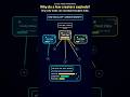 Why A Few Creators Explode | Scale-Free Networks