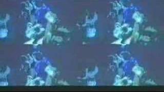 Fancy -Lady of ice