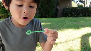 Sire-Reign plays with the That