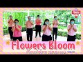 Flowers bloom meditation song  english  tonkla media  