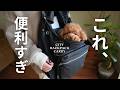 【犬用キャリー最適解】オシャレ、快適、実用性の全部入りきた！