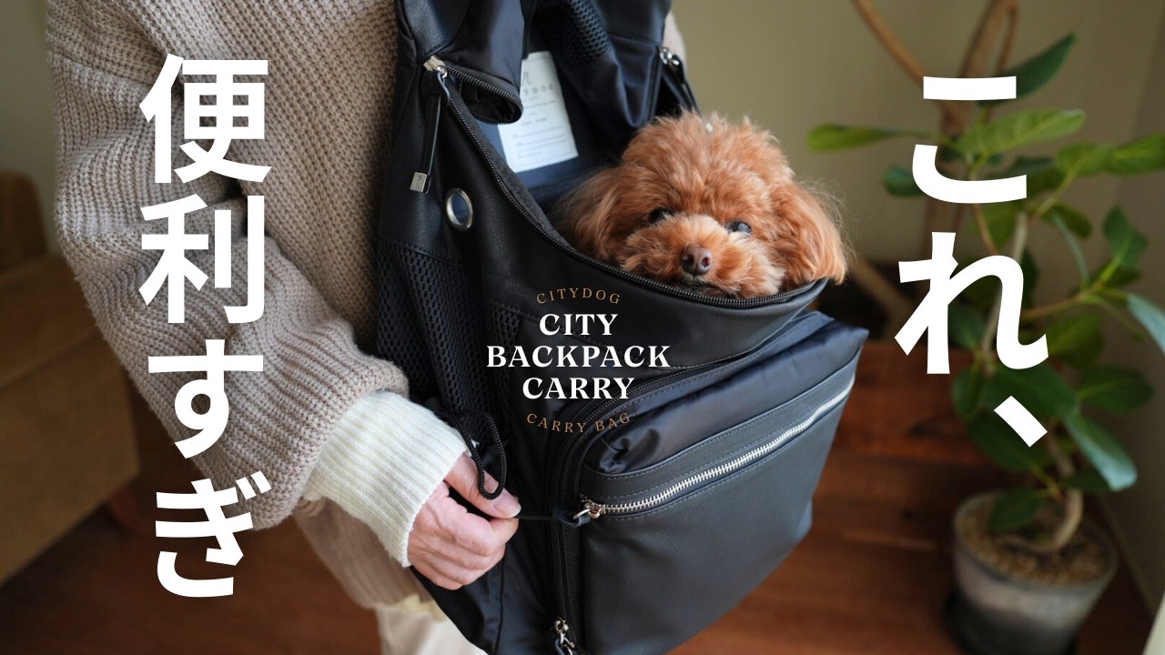 【犬用キャリー最適解】オシャレ、快適、実用性の全部入りきた！