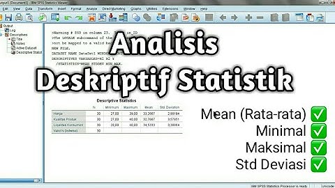 Analisis Statistik Deskriptif dengan SPSS beserta Interpretasinya
