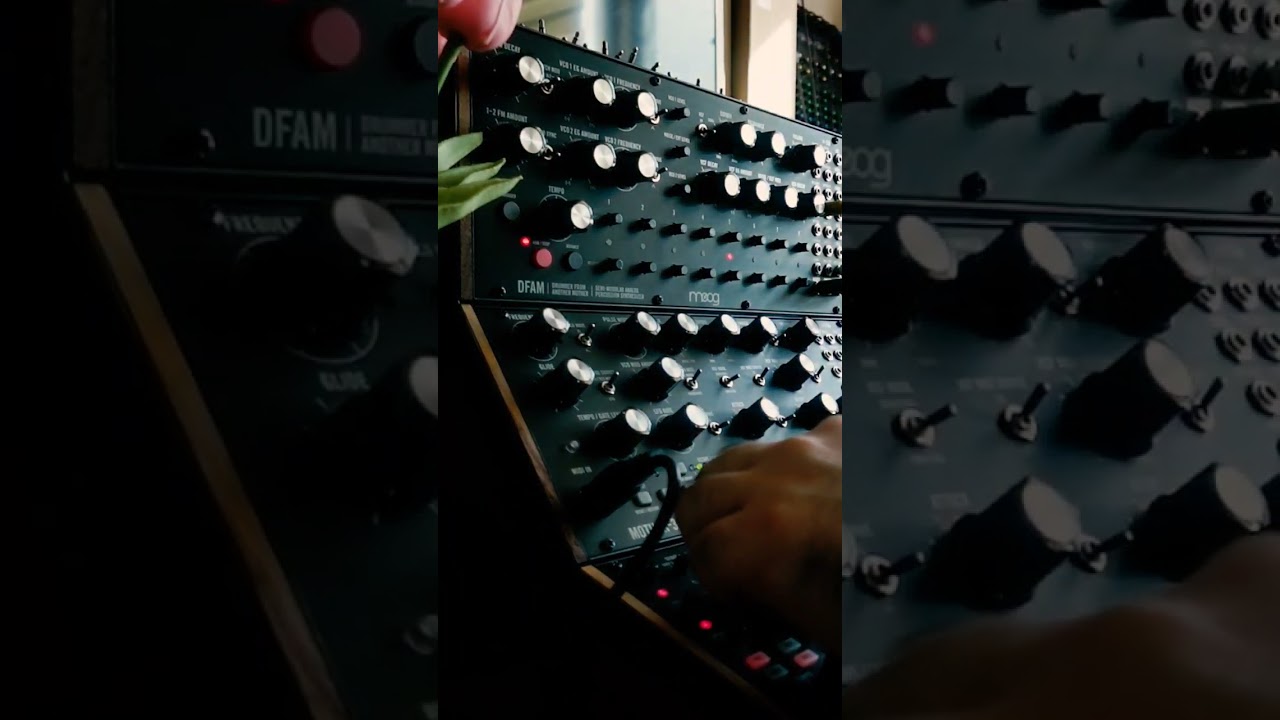 One Day #3 (dfam, subharmonicon) 