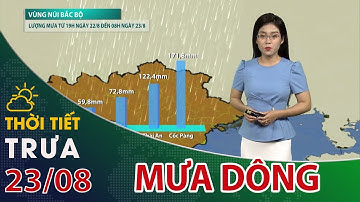 Thời tiết trưa, chiều 23/08/2023: Miền núi phía Bắc có mưa lớn| VTC14