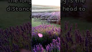 Words That Changed My Life — Quotes on Living Wisely #meditationmusic #motivation sleepmusic screenshot 4