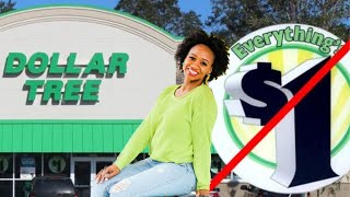 Dollar Tree Organization Ideas | Come Clean With Me | Decluttering My Life