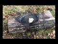 Use a stone and wood bowl to purify water