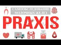 Praxis: Самообследование молочных желез