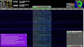 The Buzzer (4625khz) - Live