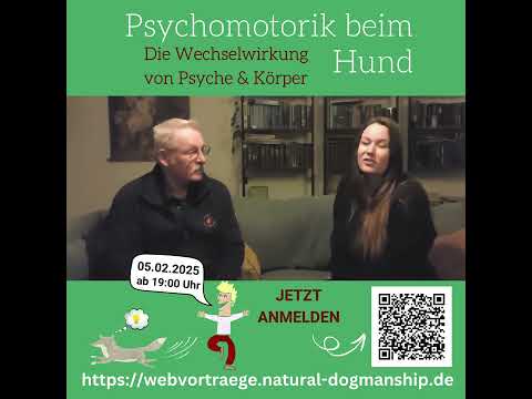 Psychomotorik beim Hund – Videokurs zur Tierpsychologie