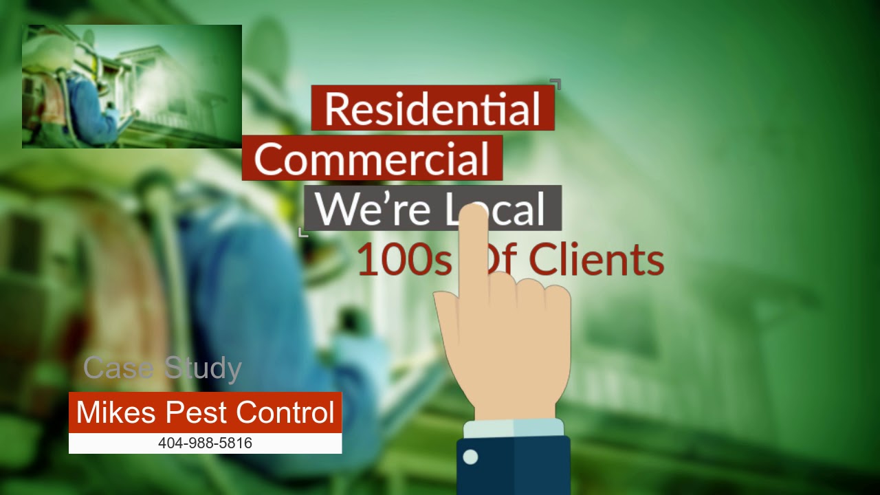 Pest Control Atlanta Prices Pest Control Cost in Atlanta YouTube