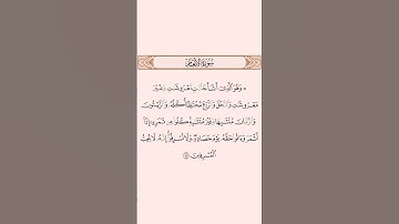 سورة الأنعام || Surah Al Anam