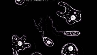 Keshco -  Unaccentuated Motive