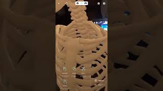 Augmented reality Skeleton of man screenshot 3