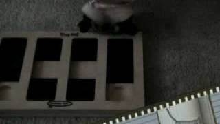 Pug Puzzle screenshot 4