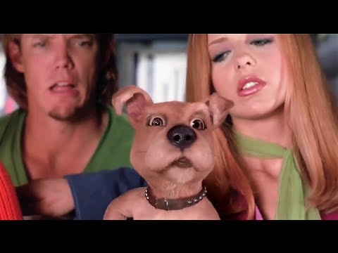 Video: ¿Cómo murió Scrappy Doo?