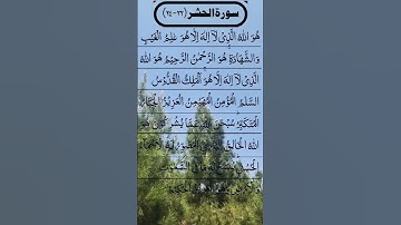 SURAH AL HASHR BEAUTIFUL VOICE سورة الحشر #egzonibrahimi #surahalhashr #alhashr