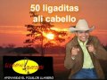 coctelazo llanero-ali cabello