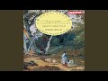 Miniature de la vidéo de la chanson Piano Concerto No. 2 In D Minor, Op. 40: I. Allegro Appassionato