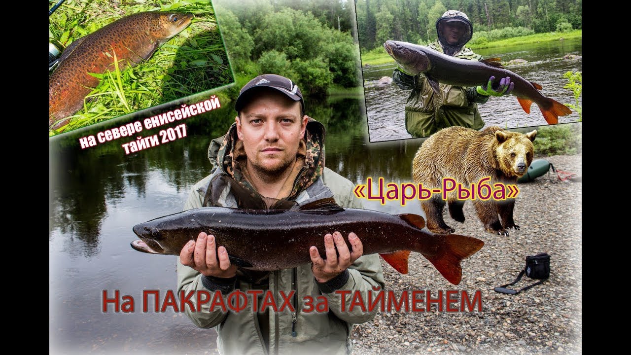 Царь youtube за
