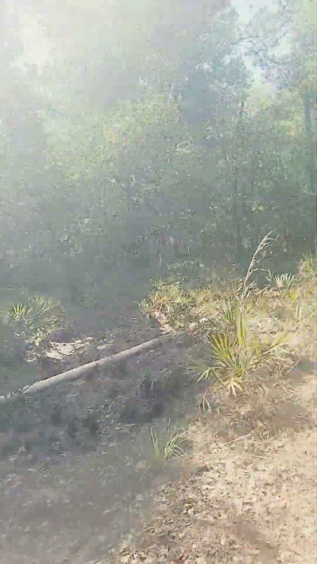 short viralshorts moneyworld YouTube short viralshorts moneyworld YouTube