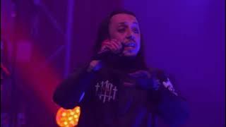 Lacuna Coil Live
