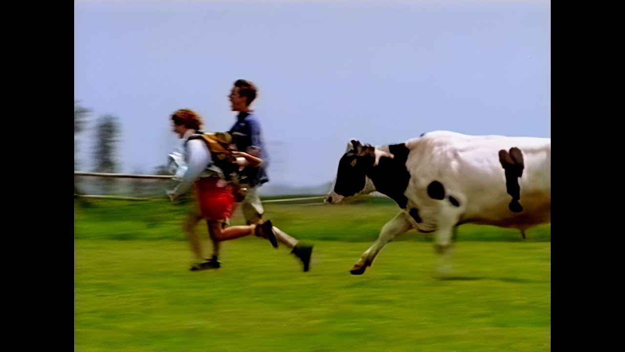 Sonnema reclame | "Oer de wei"