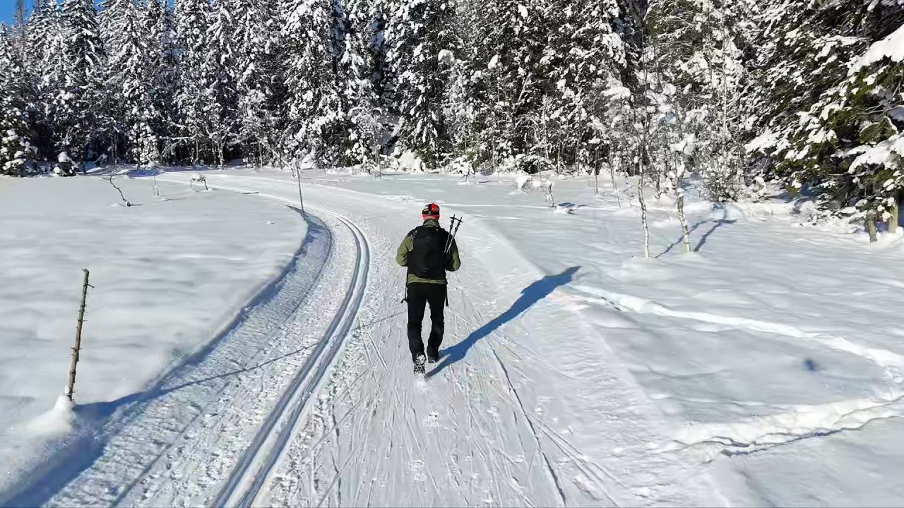 Hiking in the Norwegian winter forest and Ski tracks part 1