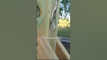 Backyard Moving Target