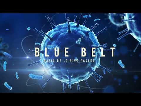 Blue Belt Curriculum - De La Riva - Knee Cut and Leg drag passes