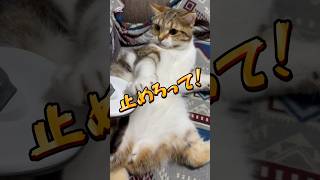 勝手にやってすみません