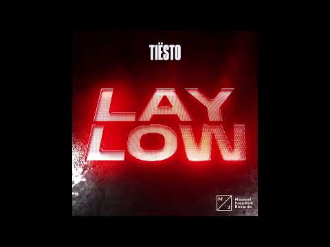 Tiësto - Lay Low (Instrumental)