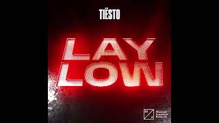 Tiësto - Lay Low (Instrumental) Resimi