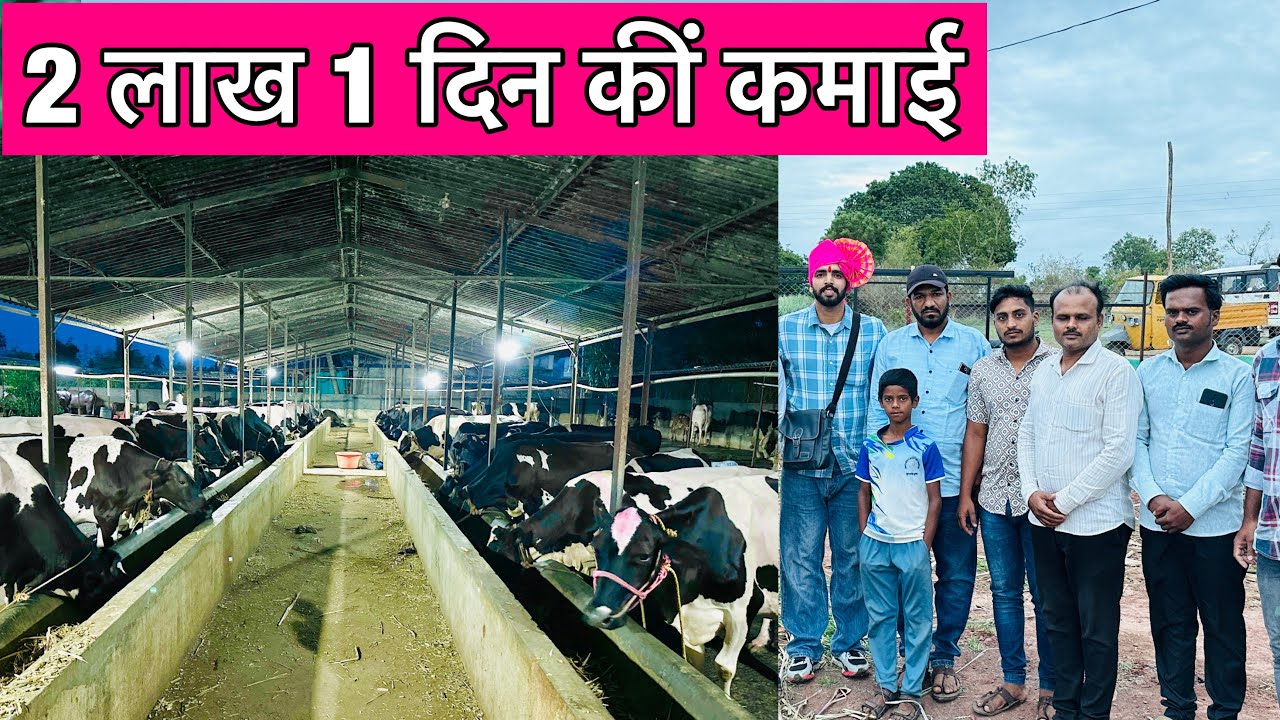 Biggest Dairy Farm in India who earn 2 lakh per day in Dairy business