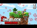 Minecraft Skyblock, but you only get ONE BLOCK.. (hardcore) #3