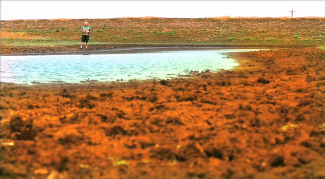 Chester Osborn d'Arenberg presents The Dry Dam Riesling