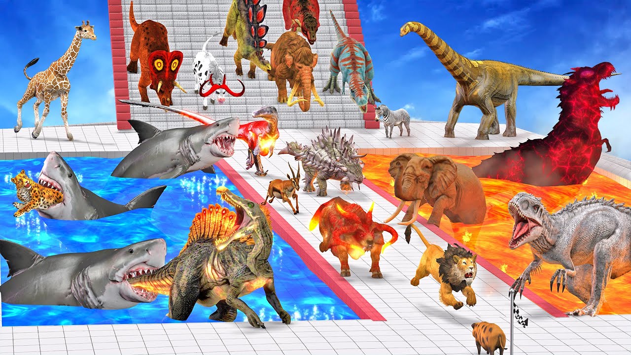 Stairs Championship of All Units Dinosaurs Vs Animals Falling Down the Stairs into Lava Path Shark