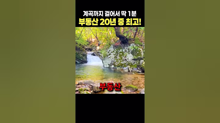 20년 부동산하면서 처음봅니다!