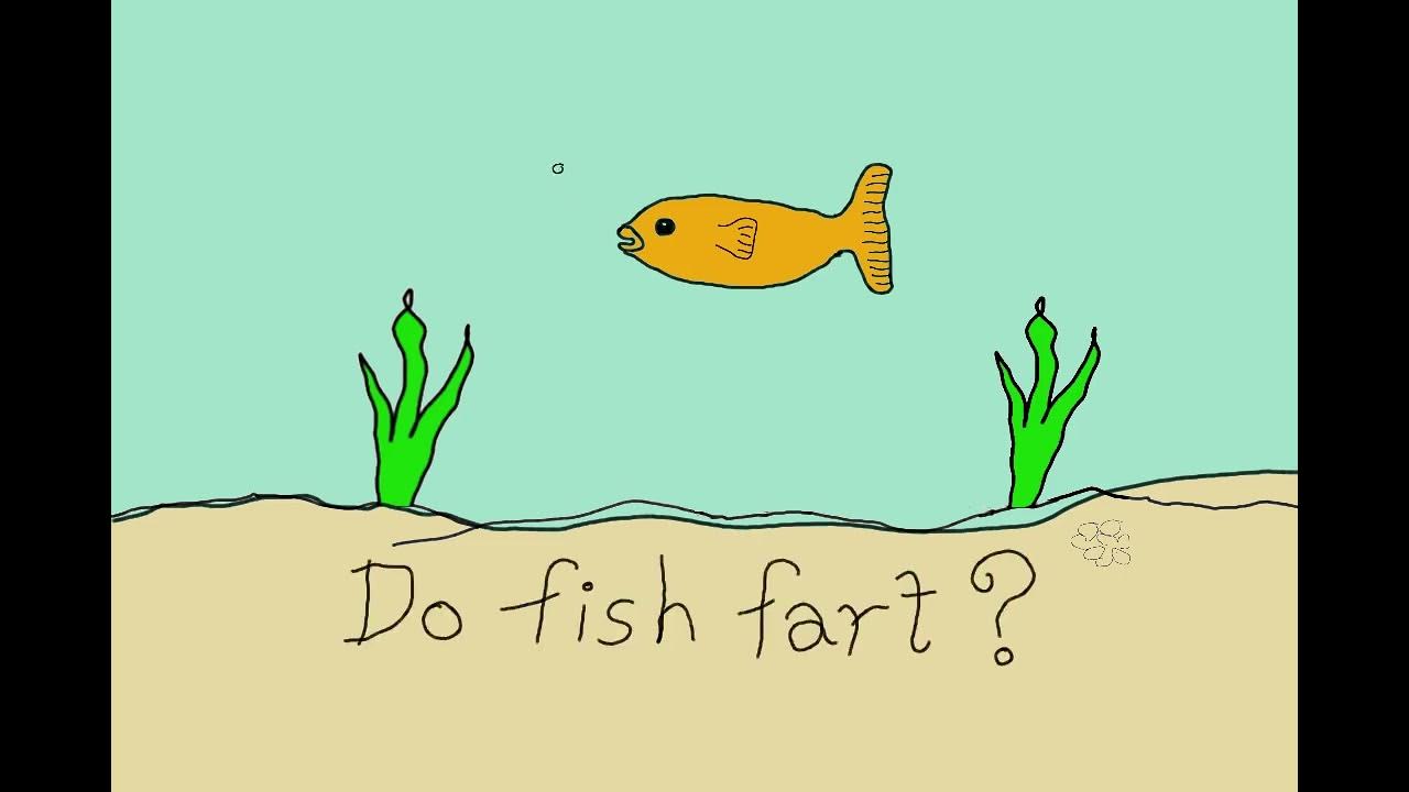 My first animation. Do fish fart? YouTube