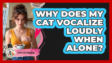 Why Does My Cat Vocalize Loudly When Alone? - Happy Cat Handbook